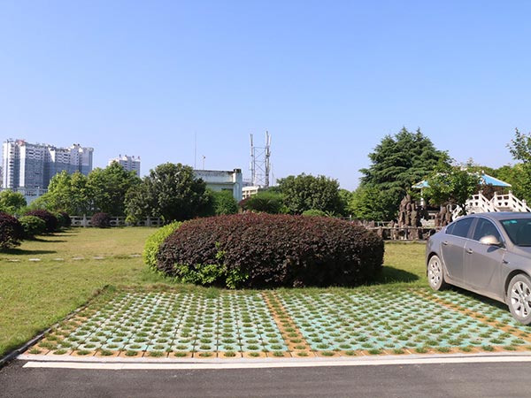 校园环境