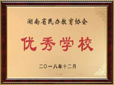 湖南省民办教育协会优秀学校